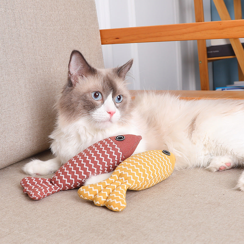 Katzenpflege